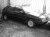 Austin Maestro