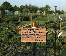 The keeping and breeding of livestock on the allotment is strictly forbidden. By order.